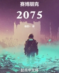 赛博朋克:2075