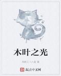 木叶之光
