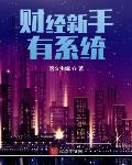财经新手有系统