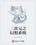 二次元之幻想系统
