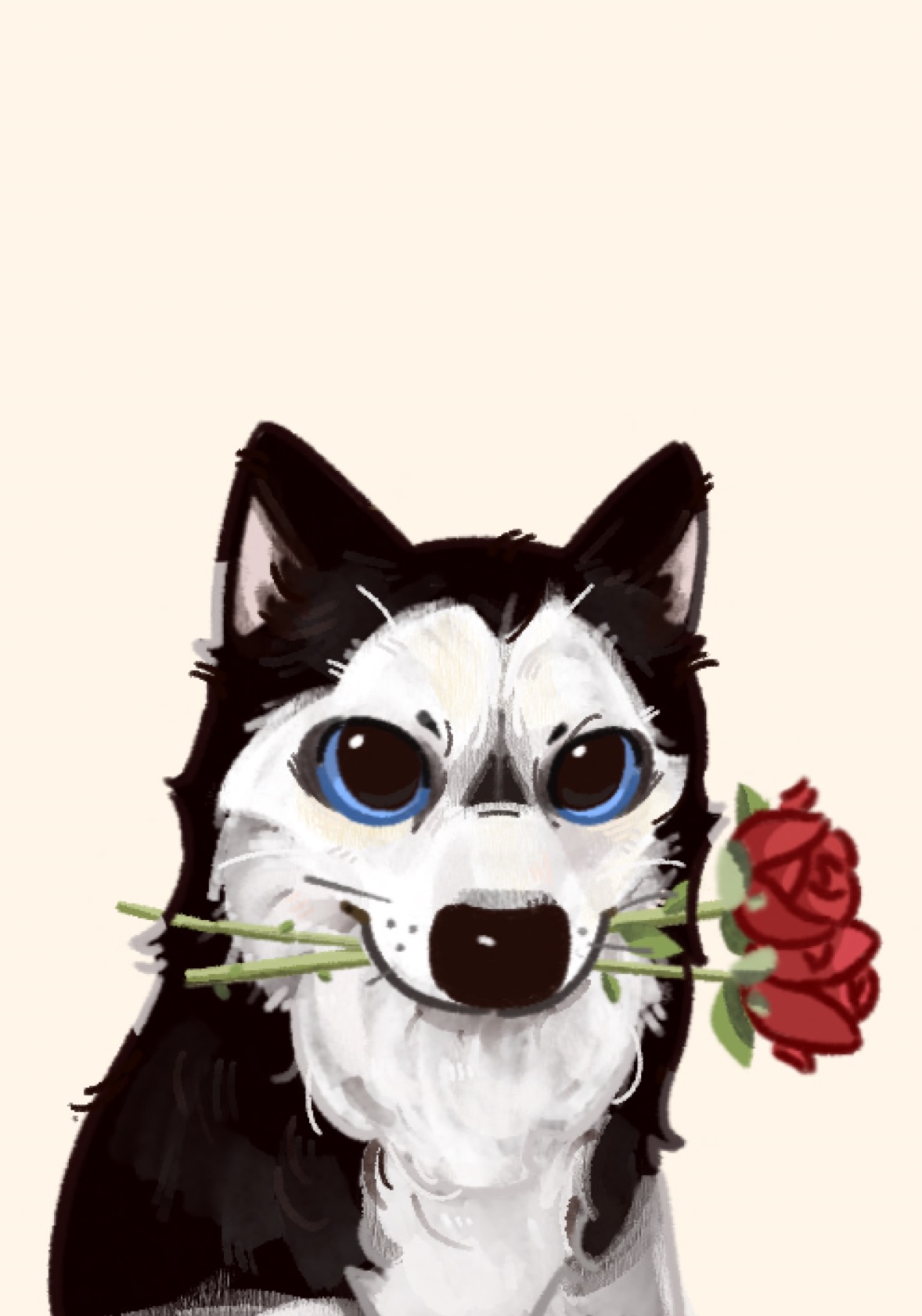 ���𣬵���