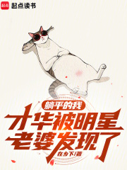 ��ƽ���ң��Ż����������ŷ�����