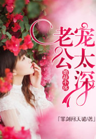 婚战不休:老公宠太深