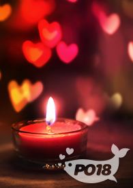 �������ǵ���Ů