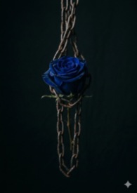 ǰ���ǰ�������